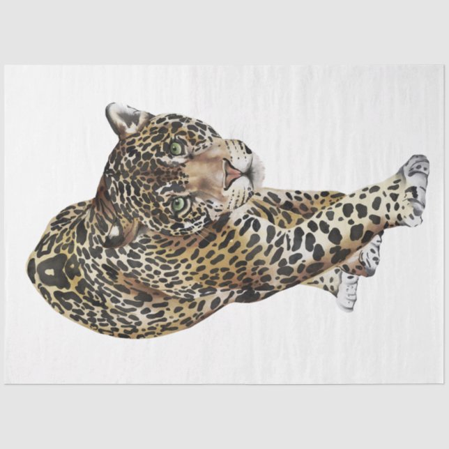 Papel De Seda Série Gatos Selvagens Design 3 (Frente )