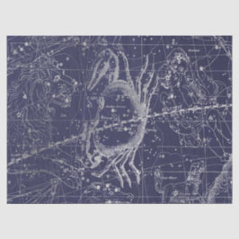 Papel De Seda Série Mapa Estelar da Galáxia de Prata Design 10