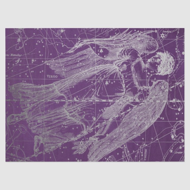 Papel De Seda Série Mapa Estelar da Galáxia de Prata Design 11 (Frente )