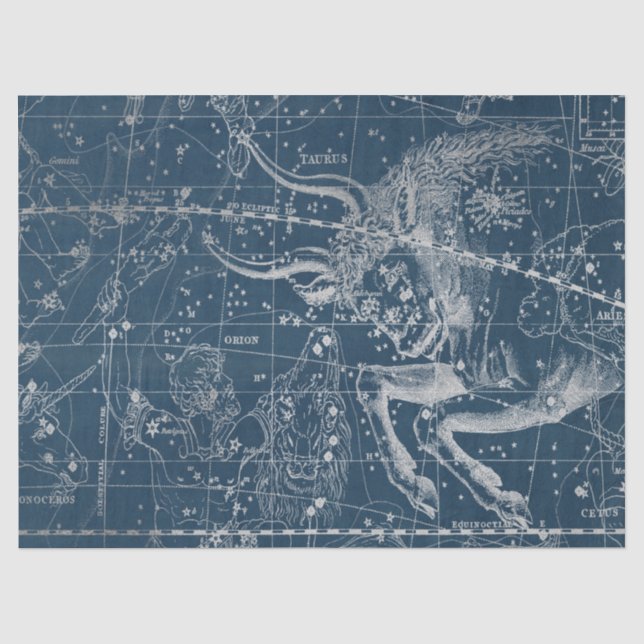 Papel De Seda Série Mapa Estelar da Galáxia de Prata Design 9 (Frente )