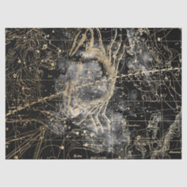 Papel De Seda Série Mapa Estelar Galáxia Dourada e Preta Design 