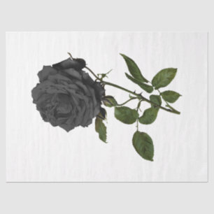 Papel De Seda Série Vintage Rose Desenho 39