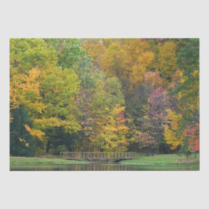 Papel De Seda Sete Primaveras Call Bridge II Autumn Landscape