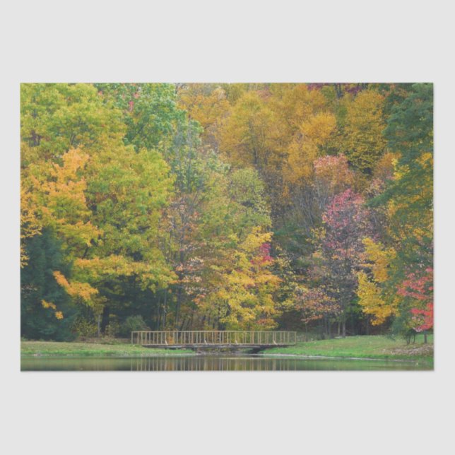 Papel De Seda Sete Primaveras Call Bridge II Autumn Landscape (Frente )
