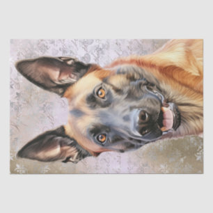 Papel De Seda Shepherd Malinois Cão Belga
