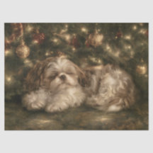 Shih Tzu dormindo