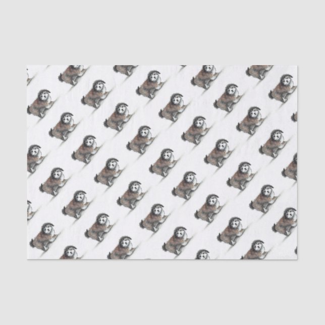 Papel De Seda Shihtzu Puppy Dog (Frente )