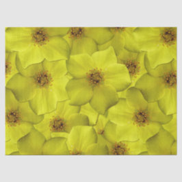 Papel De Seda Shrubby Cinquefoil Padrão Sem Costura