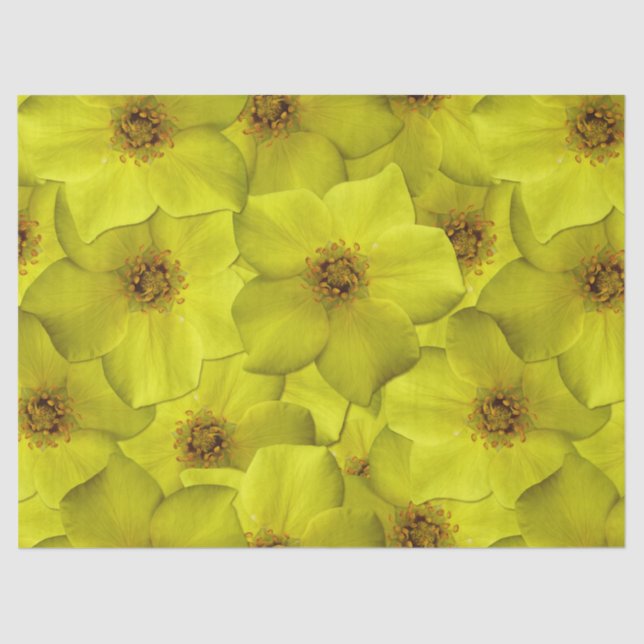 Papel De Seda Shrubby Cinquefoil Padrão Sem Costura (Frente )