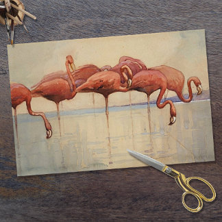 Papel De Seda Sidney Long's Flamingos 1917