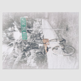 Papel De Seda Siga Esse Livro De Tecidos De Sonho