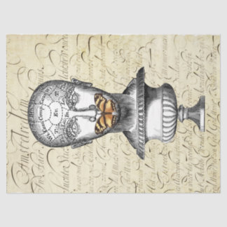 Papel De Seda Silencioso