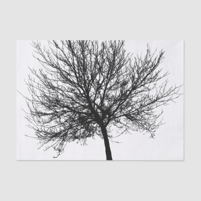 Papel De Seda Silhouette de Árvore (Frente )