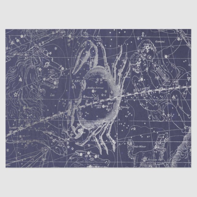 Papel De Seda Silver Galaxy Star Map Series Design 10 (Frente )