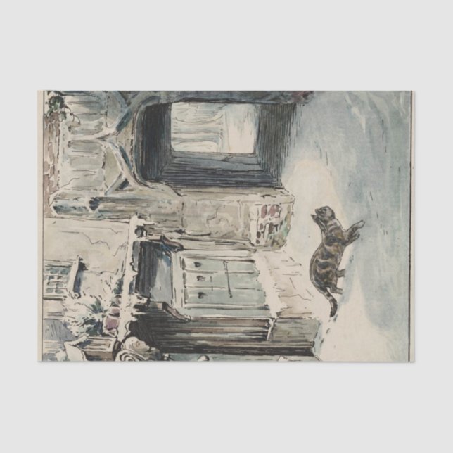 Papel De Seda Simpkin o Gato sai (por Beatrix Potter) (Frente )