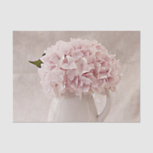 Papel De Seda Simplicidade