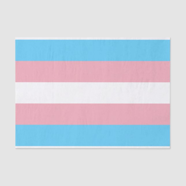 Papel De Seda Sinalizador Trans Pride (Orgulho Transgênero) (Frente )