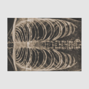 Papel De Seda Skeleton Xray Rib Cage Vintage Sepia Black Gothic