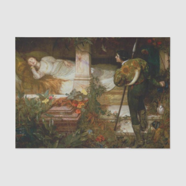 Papel De Seda Sleeping Beauty (Fairy Tale Scene) (by Brewtnall) (Frente )