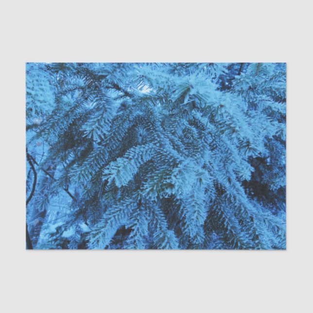 Papel De Seda Snowy Forest Spruce (Frente )