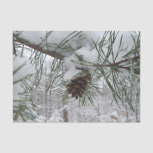 Papel De Seda Snowy Pine Branch Winter Nature Fotografia