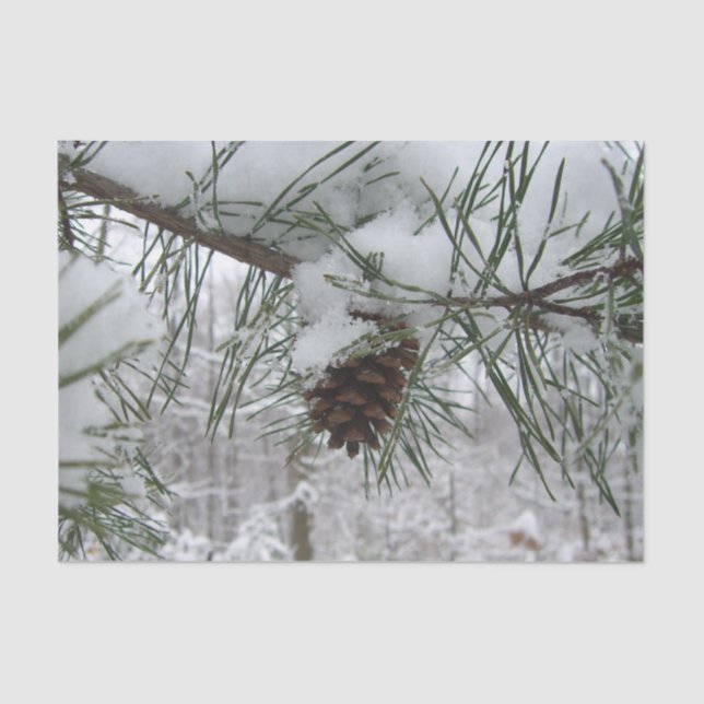 Papel De Seda Snowy Pine Branch Winter Nature Fotografia (Frente )