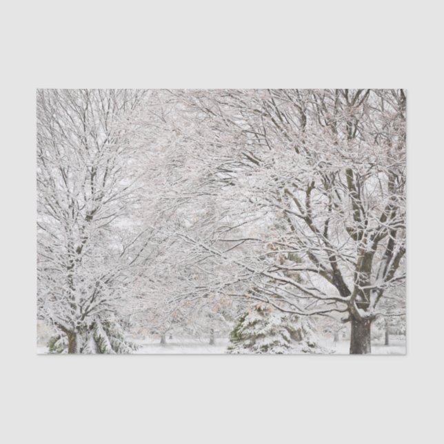 Papel De Seda Snowy Winter Forest (Frente )