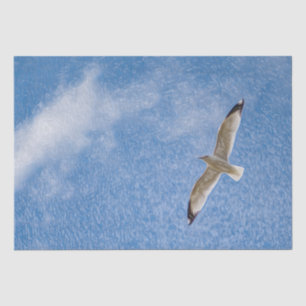 Papel De Seda Solo Seagull voador no céu