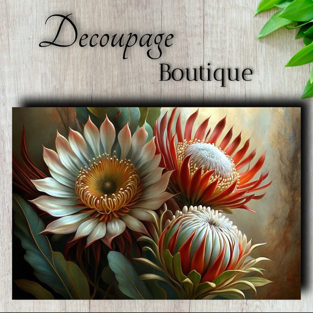 Papel De Seda Sonhos de Protea Real Decoupage (Royal Protea Dreams Decoupage Tissue Paper)