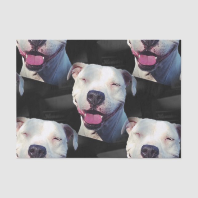 Papel De Seda Sorriso (Frente )