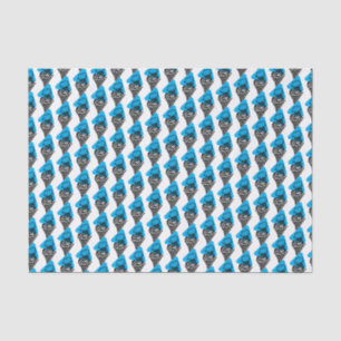 Papel De Seda Sorvete das Cores da Faculdade Azul e Branca
