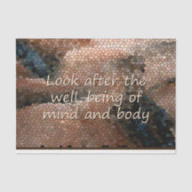 Southwest Native American Well Sendo Decoupage