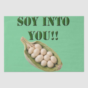 Papel De Seda Soy Em Você: Uma História De Amor Vegan.