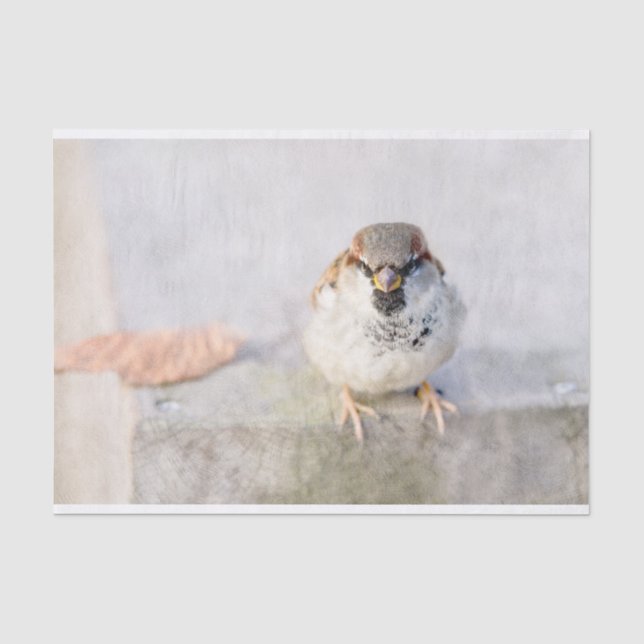 Papel De Seda Sparrow - O Guerreiro (Frente )