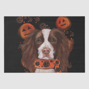 Papel De Seda Springer Spaniel Inglês