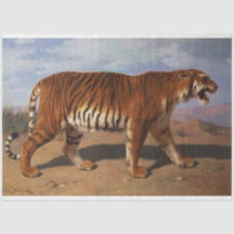 Stalking Tiger (por Rosa Bonheur)
