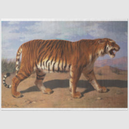 Papel De Seda Stalking Tiger (por Rosa Bonheur)