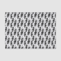 Starfish branco-negro e tecido marinho