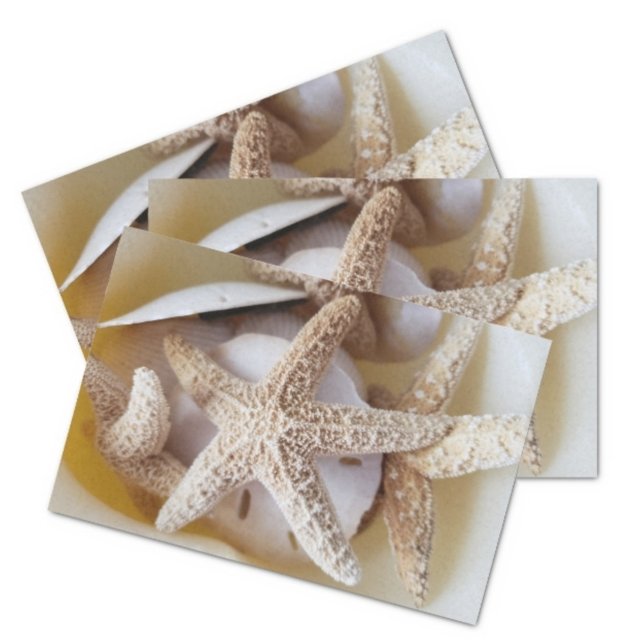 Papel De Seda Starfish e Sand Dollares — costa branca cremosa (Criador carregado)