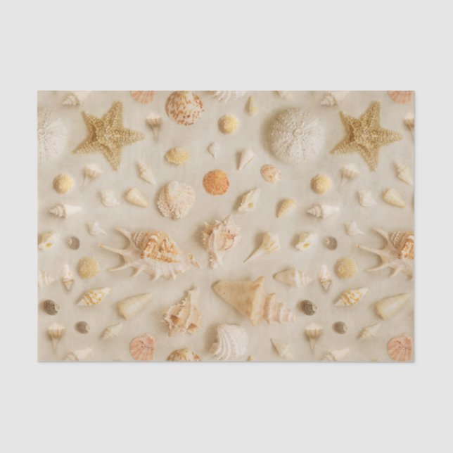 Papel De Seda Starfish e Seashells Beach Photo (Frente )