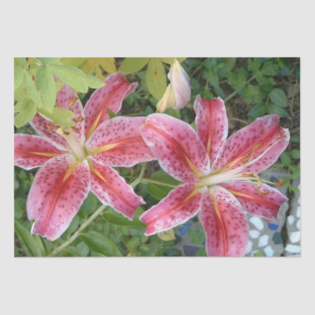 Papel De Seda Stargazer Lily Garden Floral (Frente )
