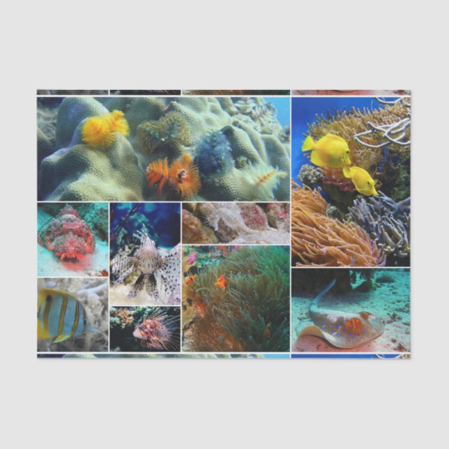 Papel De Seda Submarino 36 (Frente )