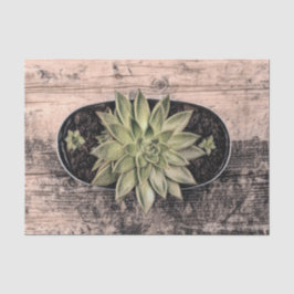 Papel De Seda Suculento Decoupage Botânico Verde Rústico Vintage