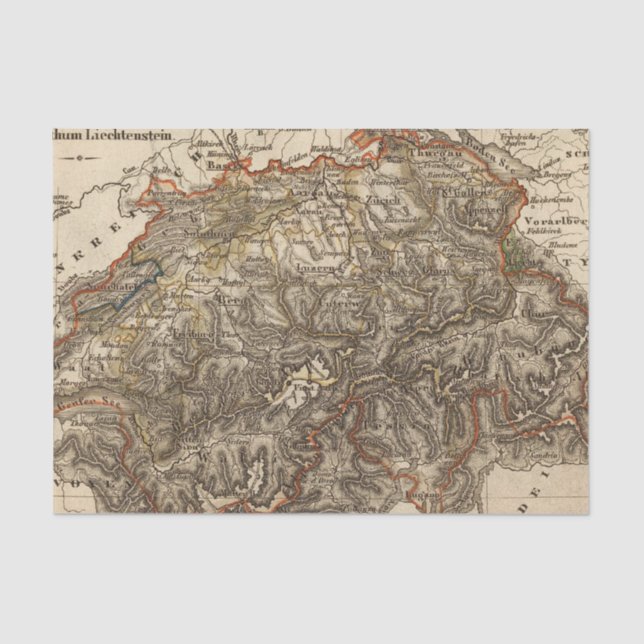 Papel De Seda Suiça 7 (Frente )