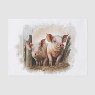 Papel De Seda Suínos de Fazenda
