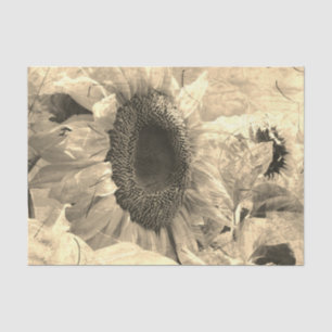 Papel De Seda Sunflower Sepia Beautiful Country Design Floral