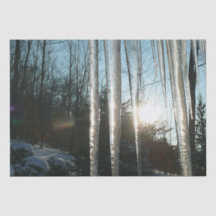 Papel De Seda Sunrise Através De Ícicletas Winter Nature Fotog