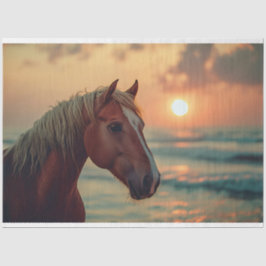 Papel De Seda Sunset de Perfil de Cavalo na Rua de Praia