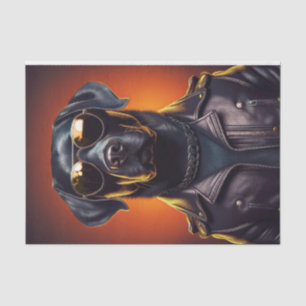 Papel De Seda Sunset Sam, Biker Black Lab na Jaqueta de couro