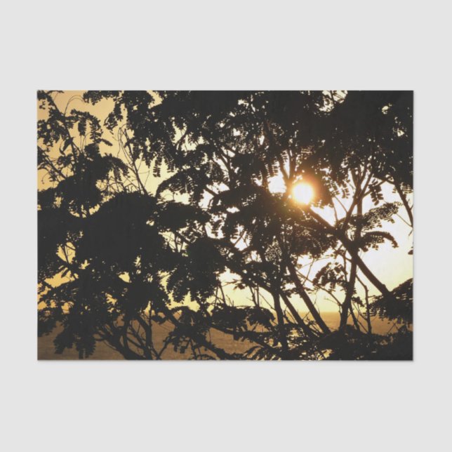 Papel De Seda Sunset Through Tres I Fotografia Tropical (Frente )